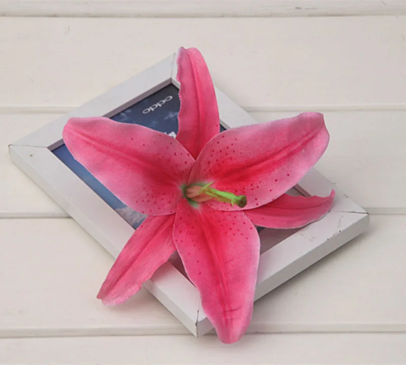 20170810_145425_034