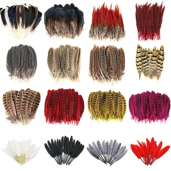 

10pcs/lot Super Beautiful Natural Pheasant Feather jewelry Goose plumas clothes hat DIY veren decoratie Carnival Party plumes