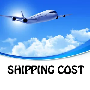 SHIPPING COST DHL or Fedex