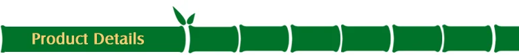  (2)