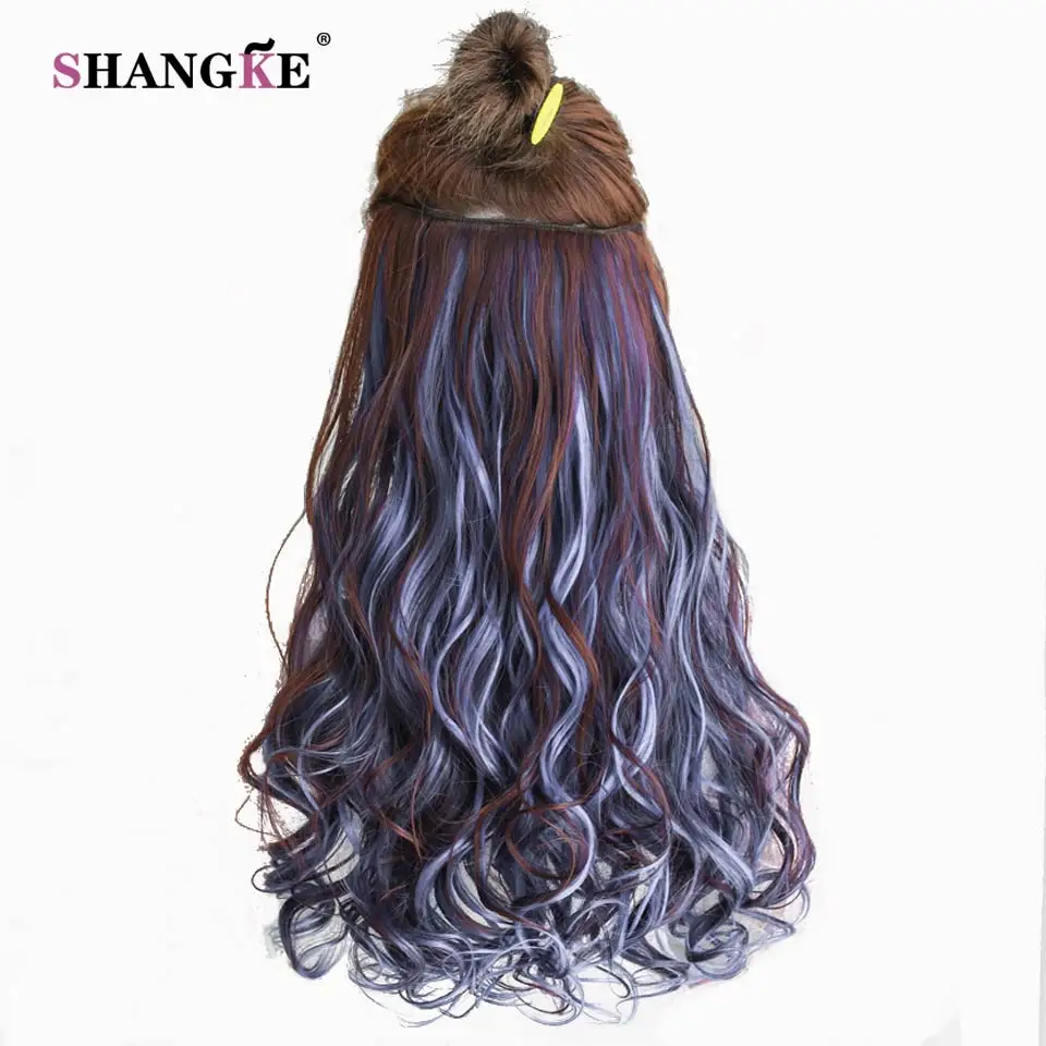 SHANGKE 24'' Long Curly Clip In Hair Extensions Heat