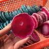 40-50g RED crystal  AGATE SLAB Geode Slice Crystal Mineral Coaster 65mm 3