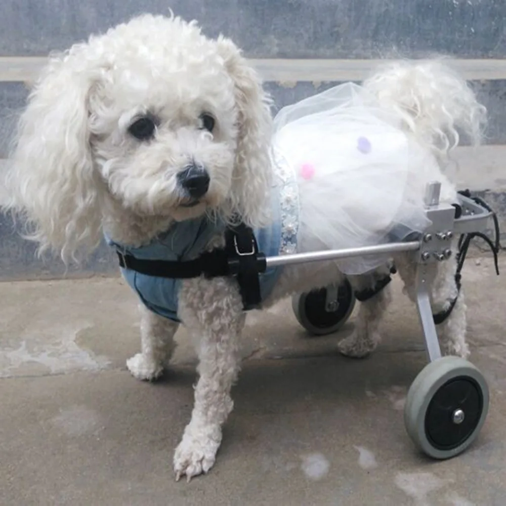 

Ru seller!Stainless Steel Pet Wheelchair For Cat Dog Disabled Handicapped Hind Legs choose S/M/L SIZE