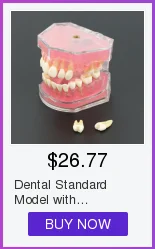 dental com dentes modelo padrão removíveis 4004 01 estudo dental ensine teeth modelo 5 Cheap Modelo de Ensino Dental