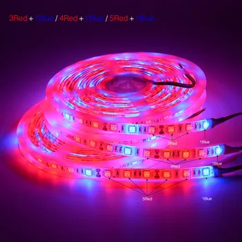 

Grow light Full Spectrum 5050 LED Flower Plant Phyto Growth lamps For Greenhouse Hydroponic Plant Growing 5M LED Strip light