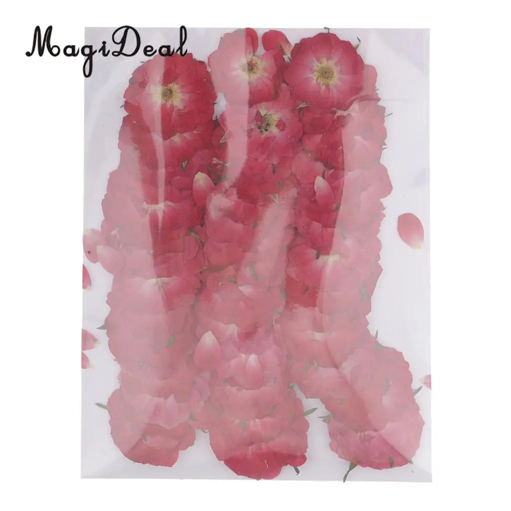 MagiDeal 50pcs Beautiful Pressed Rose Flower Dried Flowers for Art Craft Scrapbooking Card Making House Decoration