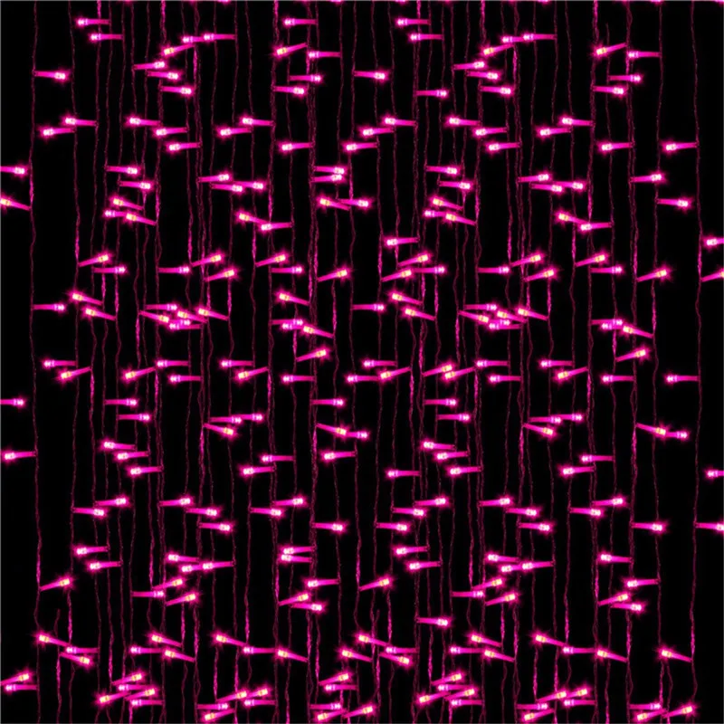 3717589437_1559958249