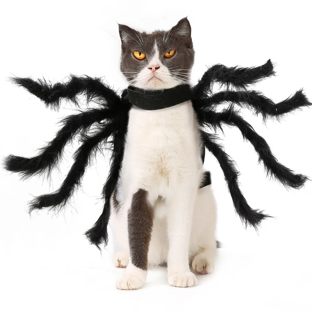 Костюмы для собак на Хэллоуин для маленьких собак, собачка-паук, одежда для одевания, длинные меховые ножки, Забавный костюм для кошки Чихуахуа Йорк
