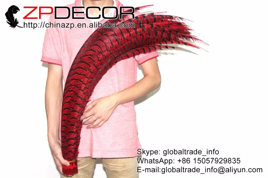 ZEBRA Lady Amherst Pheasant Tail Feathers in red  (6)