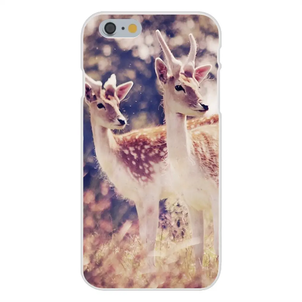 20150919183703_shiPz.thumb.700_0