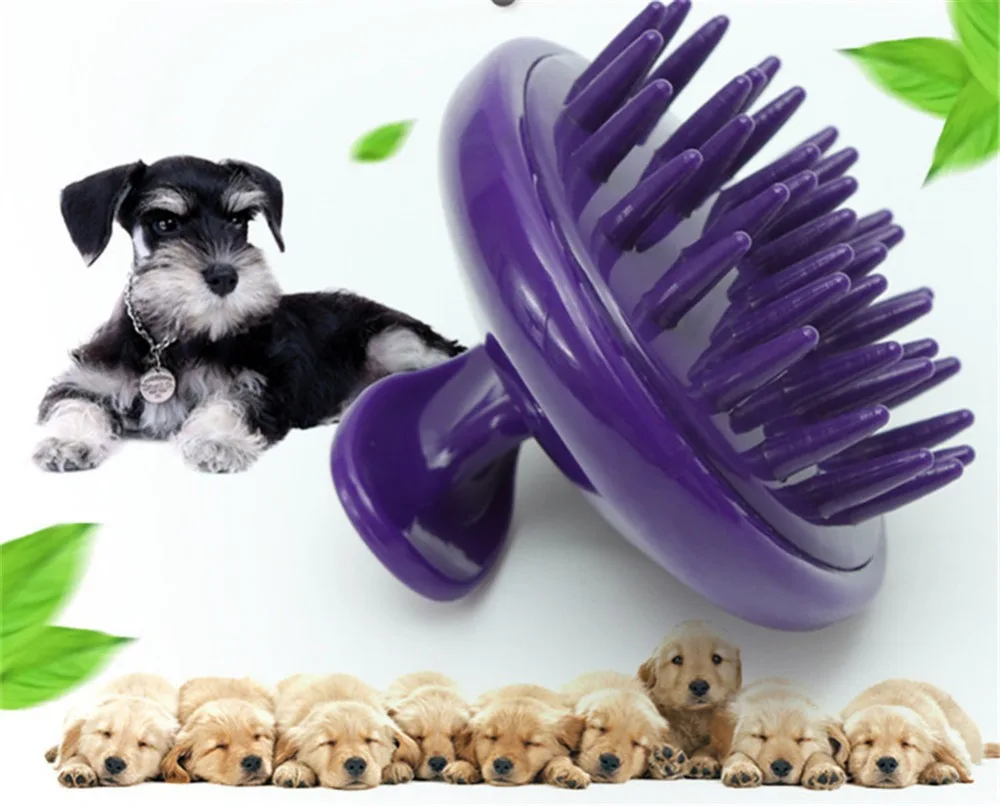 8227217104_441738855