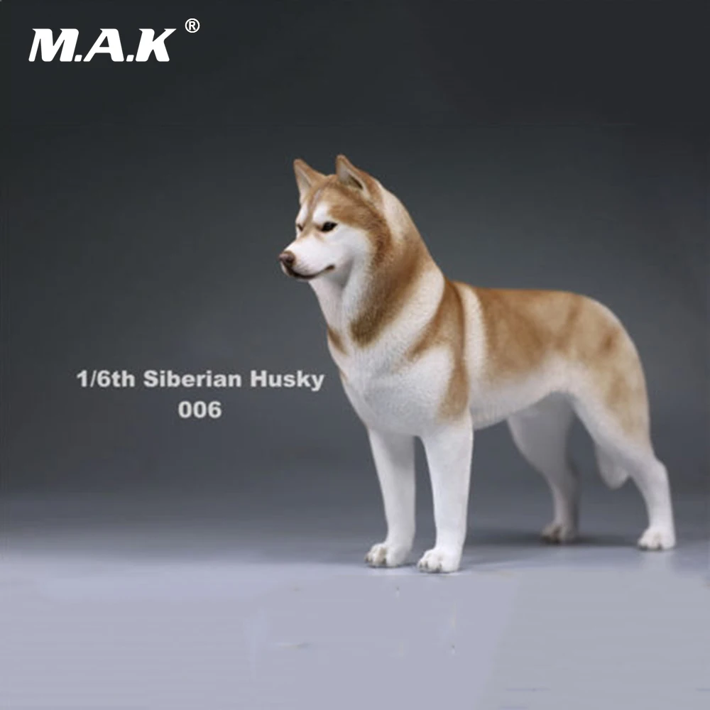 В наличии 1/6(12 &quot) модель собаки фигурку аксессуар 1:6 Сибирского Хаски