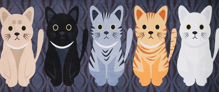 2955051136_110407025