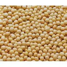 

100 capsules Soybean lecithin soft capsule