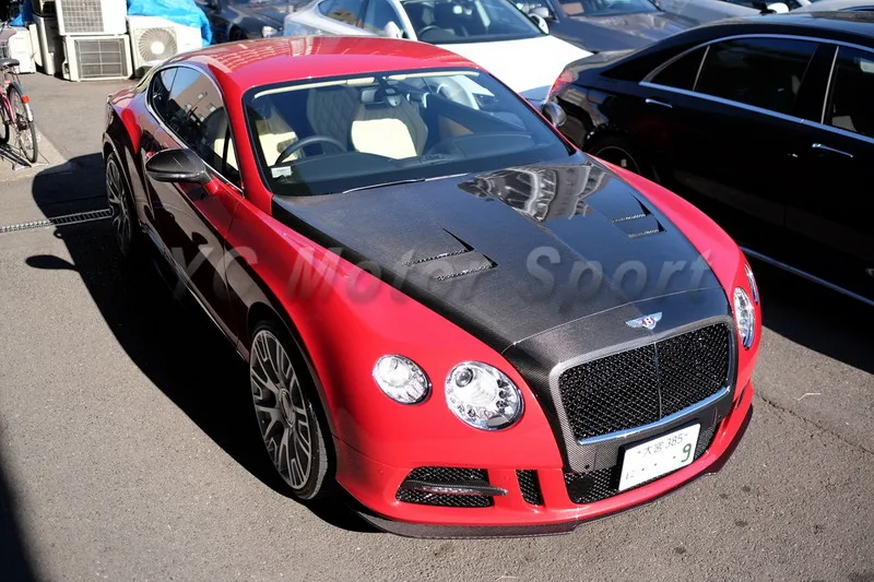 2011-2016 Bentley Continental GT GTC MANSORY SANGUIS Style Body Kit PCF  (15)