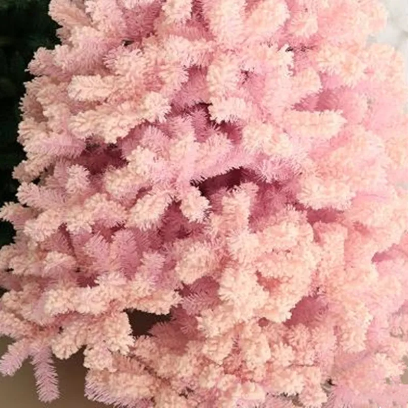 сосна кедровая сибирская стробилы. сосна сибирская (кедр сибирский) мужская шишка. розовый кедр. розовый кедр. кедр срез древесины.