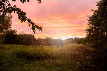 価格 草産科見事な日没フィールド背景高品質コンピュータプリント新生児背景