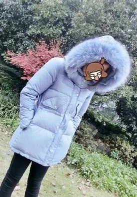 QQ20161018141825