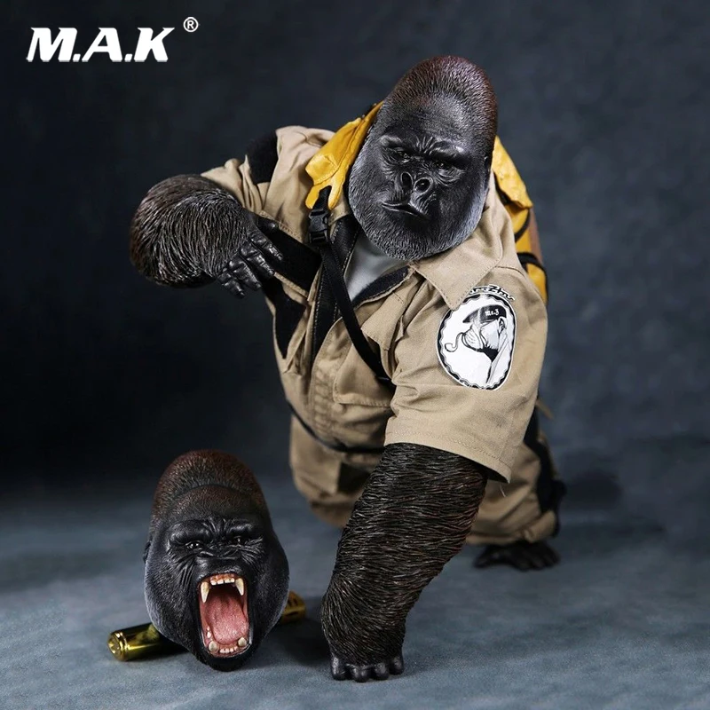 

Mr.Z 1/6 No.31 Gorilla Beringei Graueri Animal MRZ031-GBG001 W Head Changeable for 12 inches Action Figure Collections