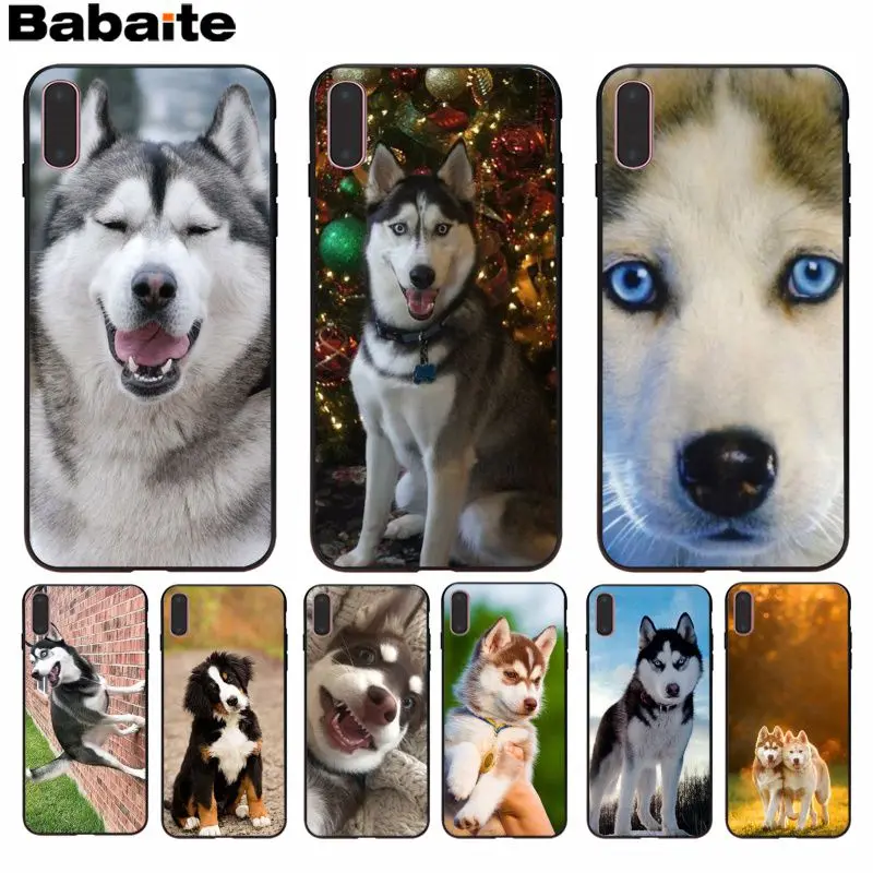 

Babaite Animal Husky cute Puppy Dog Printing Special Offer Phone Case Cover for Apple iPhone 8 7 6 6S Plus X XS MAX 5 5S SE XR
