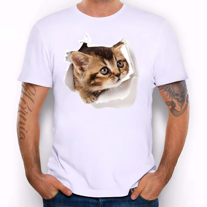 cat-11