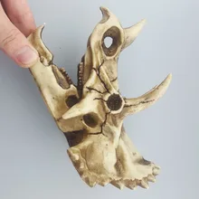 2018 Hot Sale Mrzoot Resin Dinosaur Skeleton Model Triceratops Specimen Animal Research Teaching Personalized Home Decorations 2018 Hot Sale Mrzoot Resin Dinosaur Skeleton Model Triceratops Specimen Animal Research Teaching Personalized Home Decorations