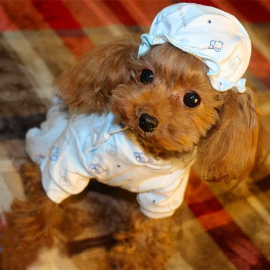 Shower Cap Dog Shower Cap Dog