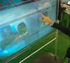 Écran tactile lcd interactif, 19 pouces, USB, 10 points, pour vitrine de magasin ► Photo 2/6