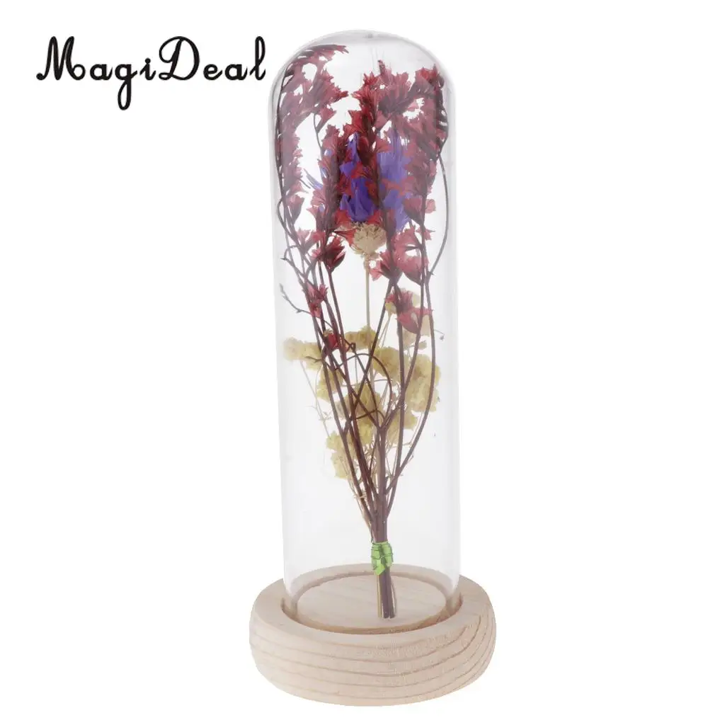 Clear Glass Display Cloche Bell Jar Dried Immortal Flower Preservation Vase Wooden Base Cafe Bar Countertop Decor Ornament
