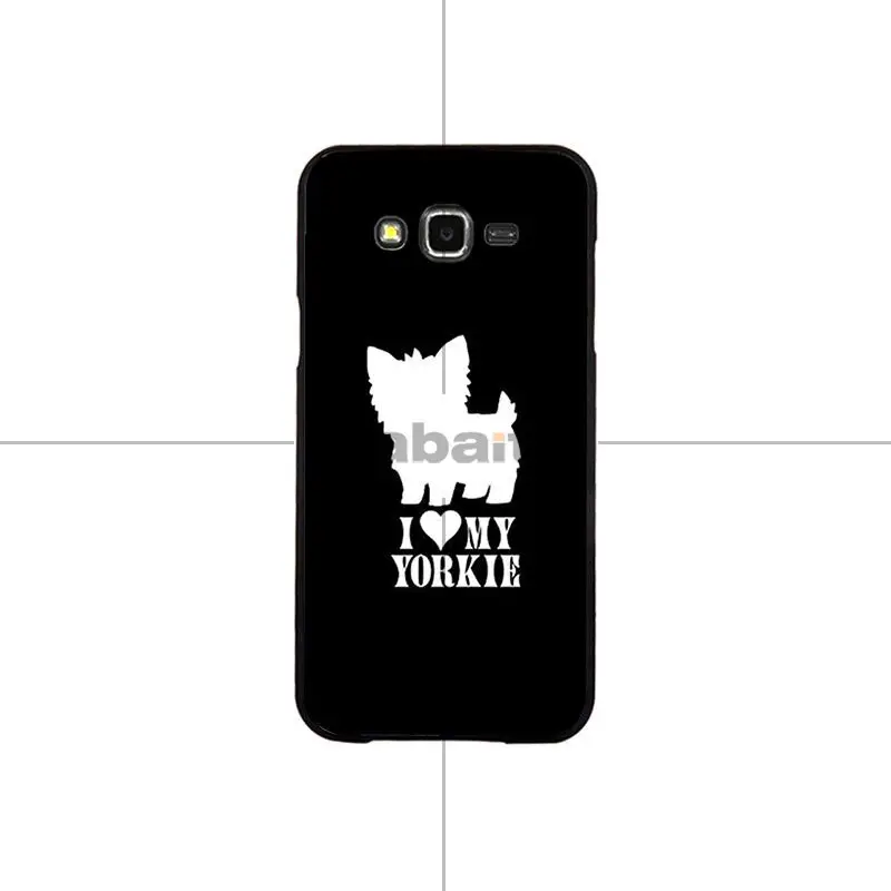 Cartoon Cat Cute Cats Dog