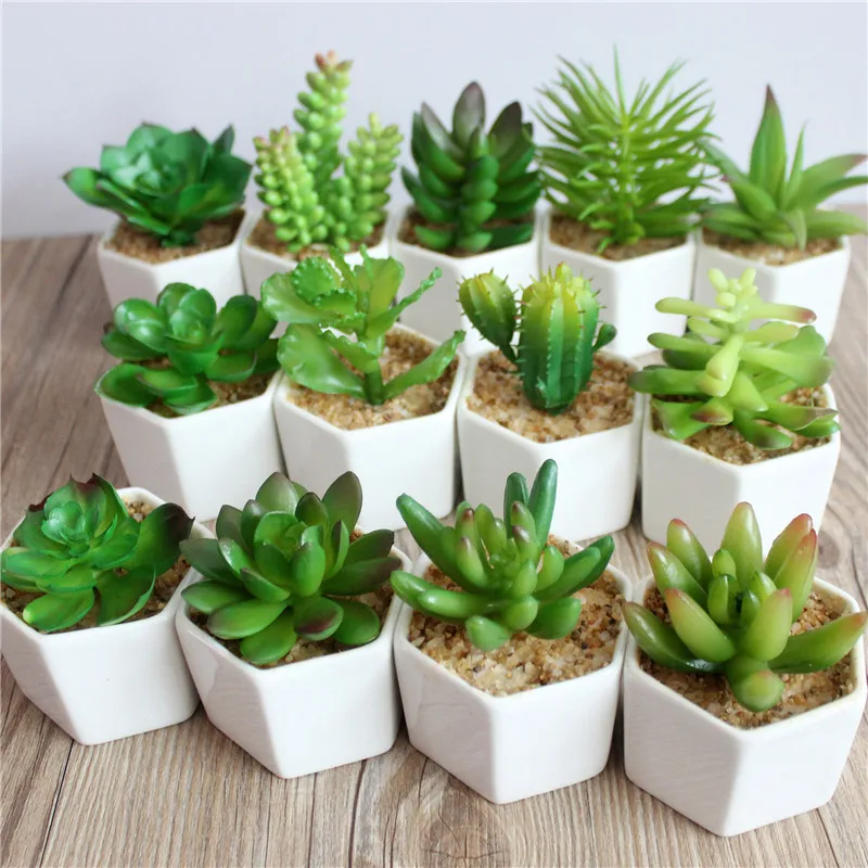 

Artificial plant creative simulation of meat plant bonsai fashion simulation floral decoration for home New Year decoration