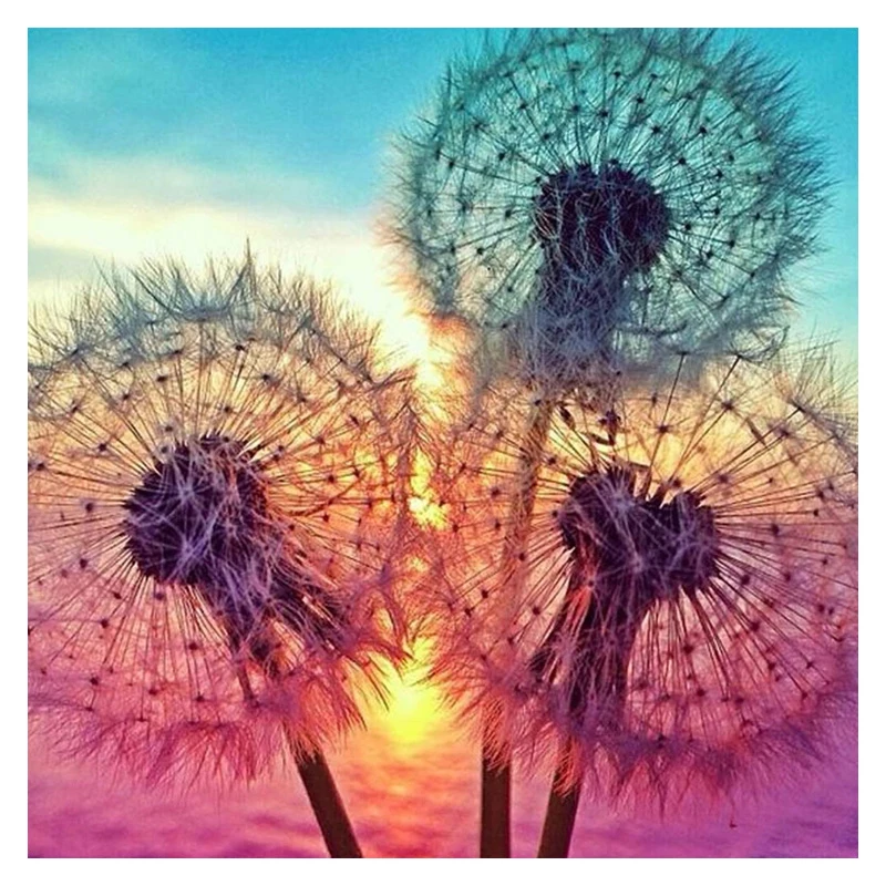 

5D DIY Diamond embroidery sunset dandelion full square diamond painting Cross Stitch Rhinestone mosaic home decoration