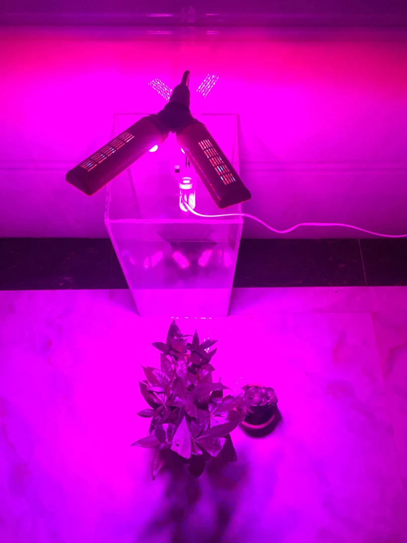 5092514249_1007843862