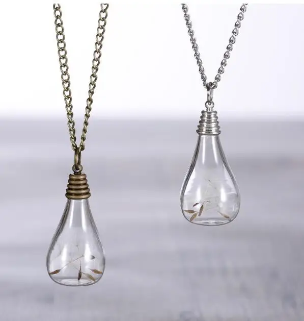 10pcs The dandelion Dry Flower Glass 