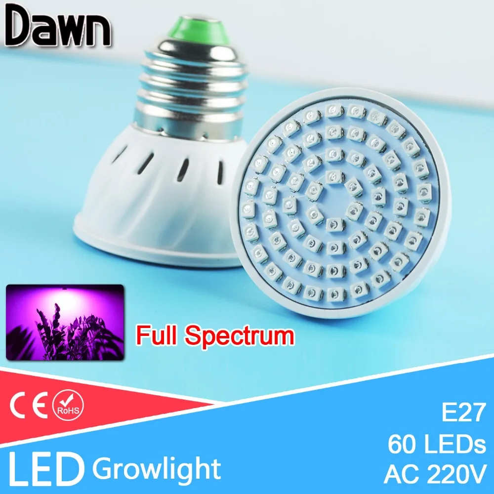 Spectrum king led coupon code