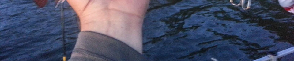DW32-Y_47