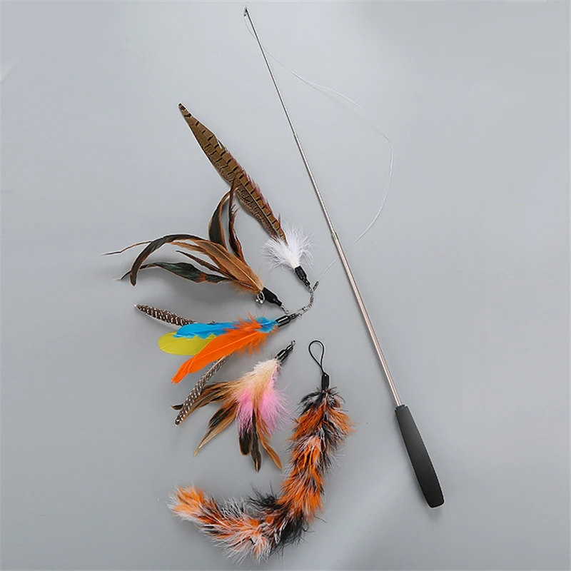 Набор забавных рыболовных удочек Katten Speelgoed с выдвижными перьями, набор из 5 сменных головок, набор игрушек для кошачьего полюса