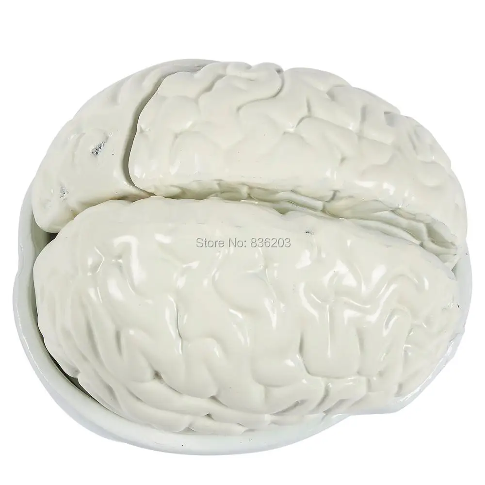 61PJRvWYMfL._SL1300_