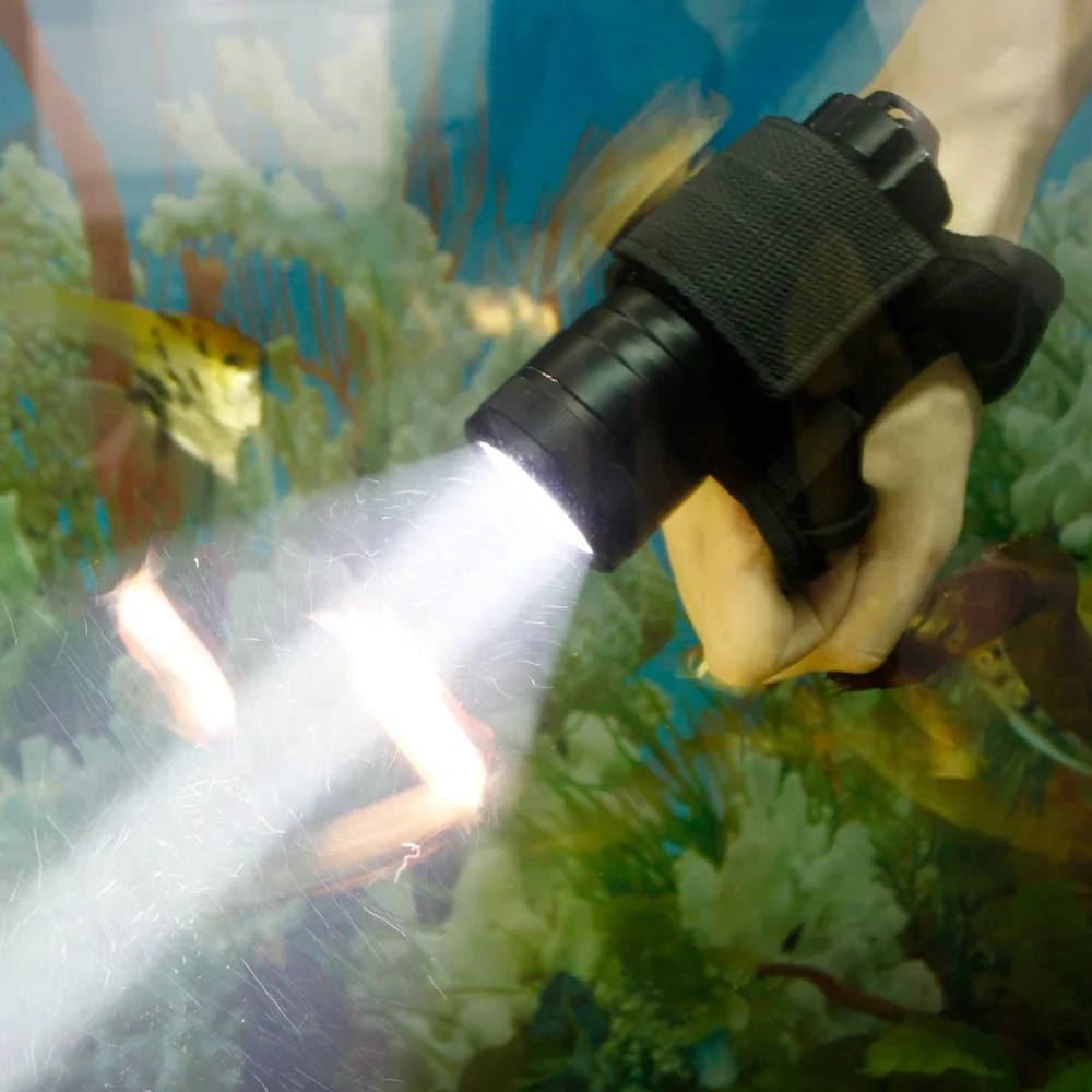 Brinyte DIV03 светодиодный фонарик для дайвинга 800 люмен XM-L2 светодиодный подводный 200 м водонепроницаемая лампа для профессионального дайвинга