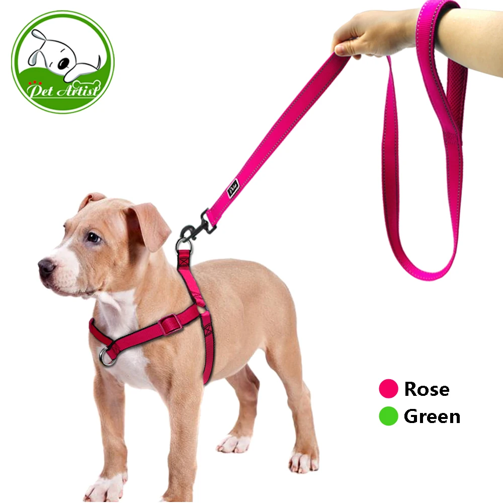 Adjustable Nylon Dog Puppy Harness Vest Leash Set No Pull Pet Walking