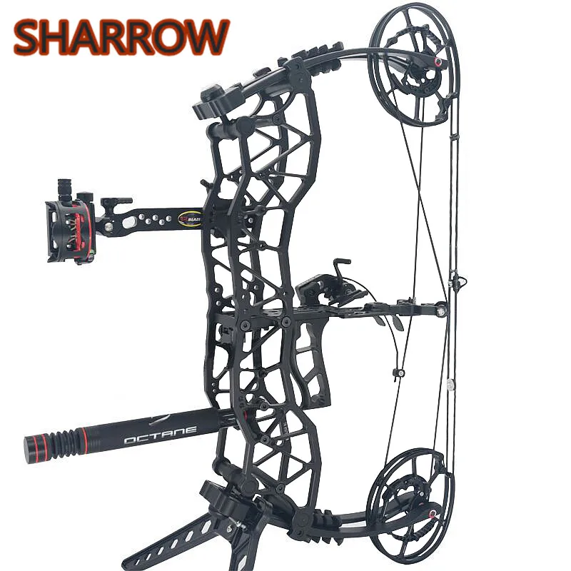 

1Set 40-60Lbs Shooting Fish Beast Arrow 310FPS RH Archery Steel Ball 370FPS Triangle Pulley Dual Purpose Compound Bow Slingshot
