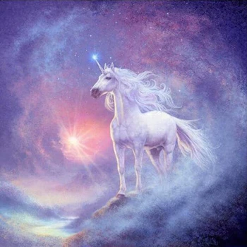 

Diamond Embroidery Kits Diy 5D Diamond Painting Handicrafts Embroidery White Unicorn In Starry Sky Diamond CC489