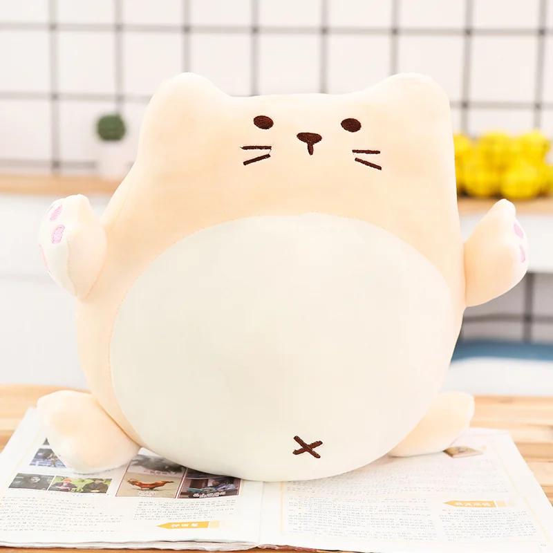 cat sleeping pillow
