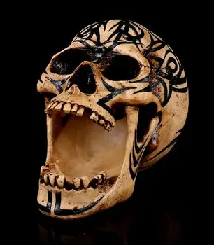 

The resinous skull head bar features a medical model of a human skull as a Halloween gift