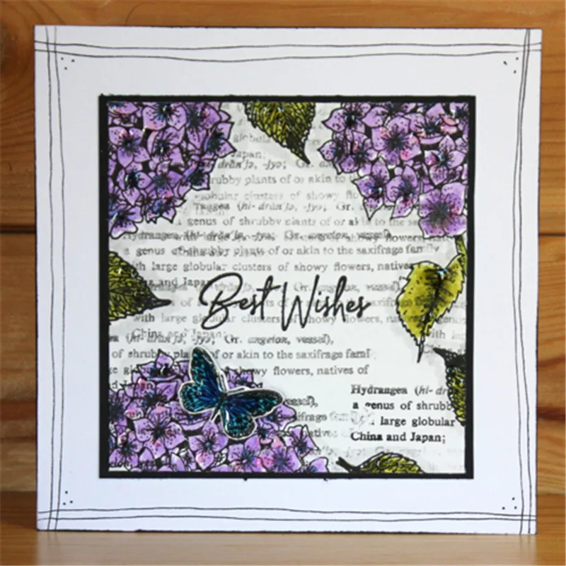 Hydrangea Heidi 4