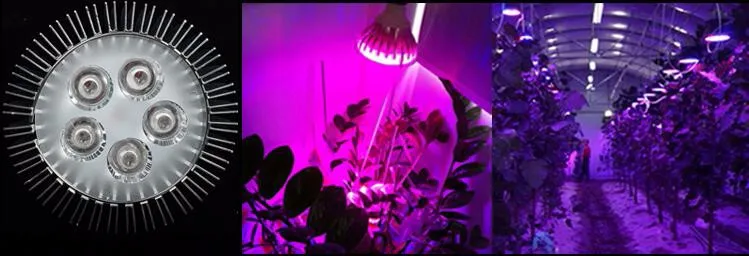 Полный спектр 5W7W9W12W15W18W E27 PAR30 PAR38 светодиодный Grow Light для цветы и гидропоники Системы высокое Яркость