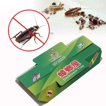 

Cockroach Trap Pitfall House Killer Bug Insect Net Bait Catch Glue Home Pest Control Roach Black Beetle Blackbeetle Room