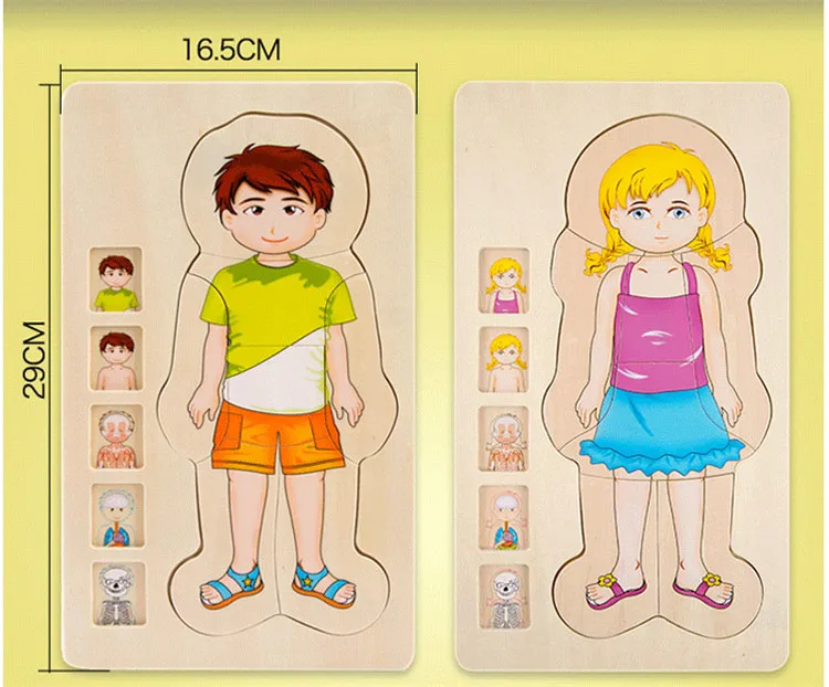 Монтессори деревянный многослойный пазл для человеческого тела головоломка для мальчиков и девочек структура тела деревянные пазлы детские развивающие деревянные игрушки