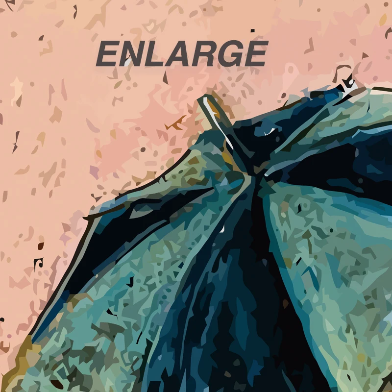 LS0470-3