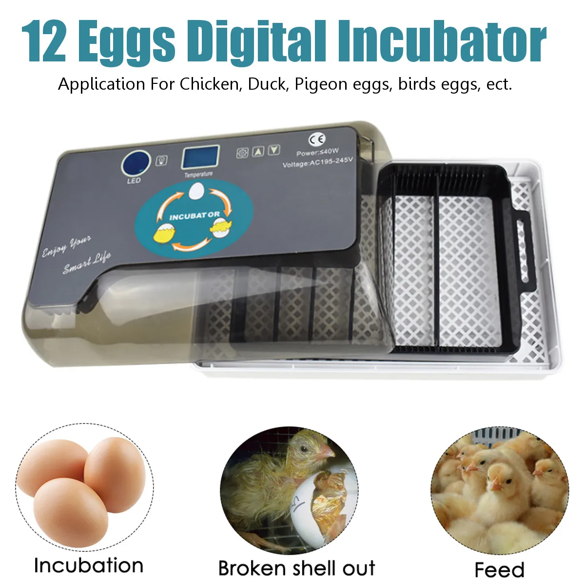 

12 Eggs Hatchery Eggs Incubator Hatcher Digital Temperature Control Brooder for Chicken Duck Bird Pigeons Quail 2019 New